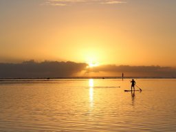 Vis et Lutz : Nos premiers visiteurs !